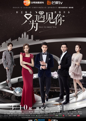 Nice To Meet You (Chinese Drama)